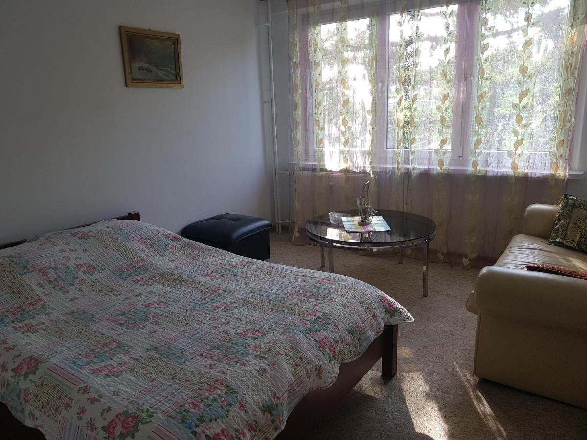 Mieszkanie W Centrum Krakowa المظهر الخارجي الصورة